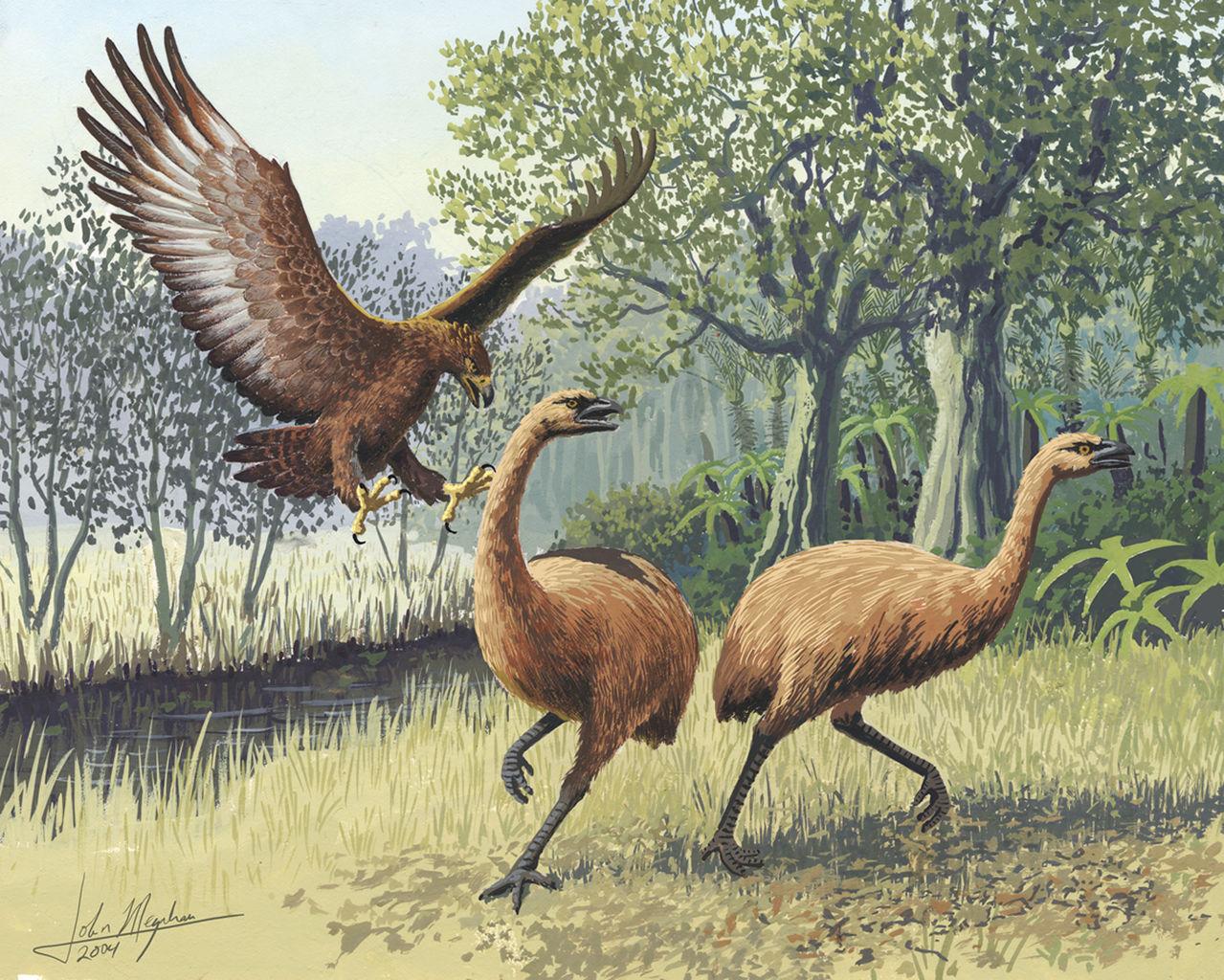 ETH 218: Possums, Stoats and Weasels...Oh My!