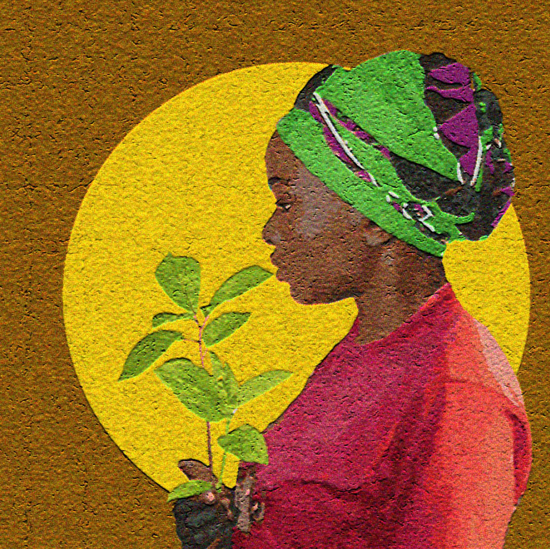 Female Empowerment Through Financial Freedom